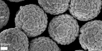 Scanning electron microscope (SEM) image of the silica raspberry-like particles, showing the controlled roughness of their surfaces.
