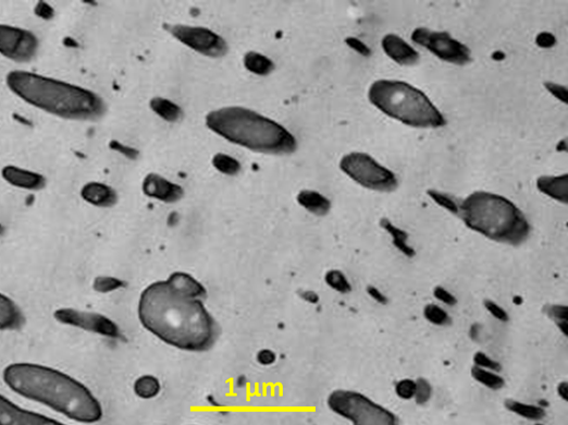 SEM image of the complicated multiscale microstructure of the PS/SIS composite blends