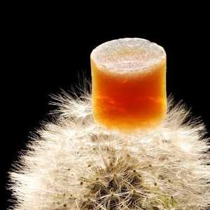titania nanoparticle-based aerogel containing gold nanoparticles on top of a dandelion