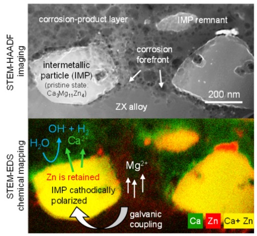 Biocorrosion Zoomed In: Evidence for Dealloying of Nanometric Intermetallic Particles in Magnesium Alloys