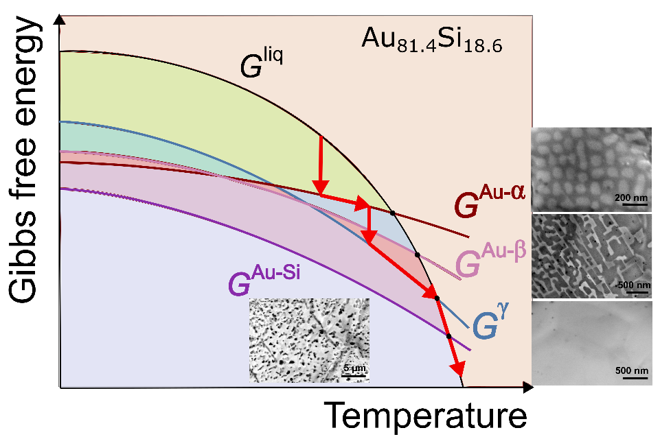Enlarged view: Au–Si eutectic alloy with four melting temperatures