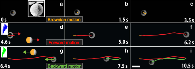 Self-propelled Microswimmers that Can Instantaneously Reverse Their Propulsion Direction