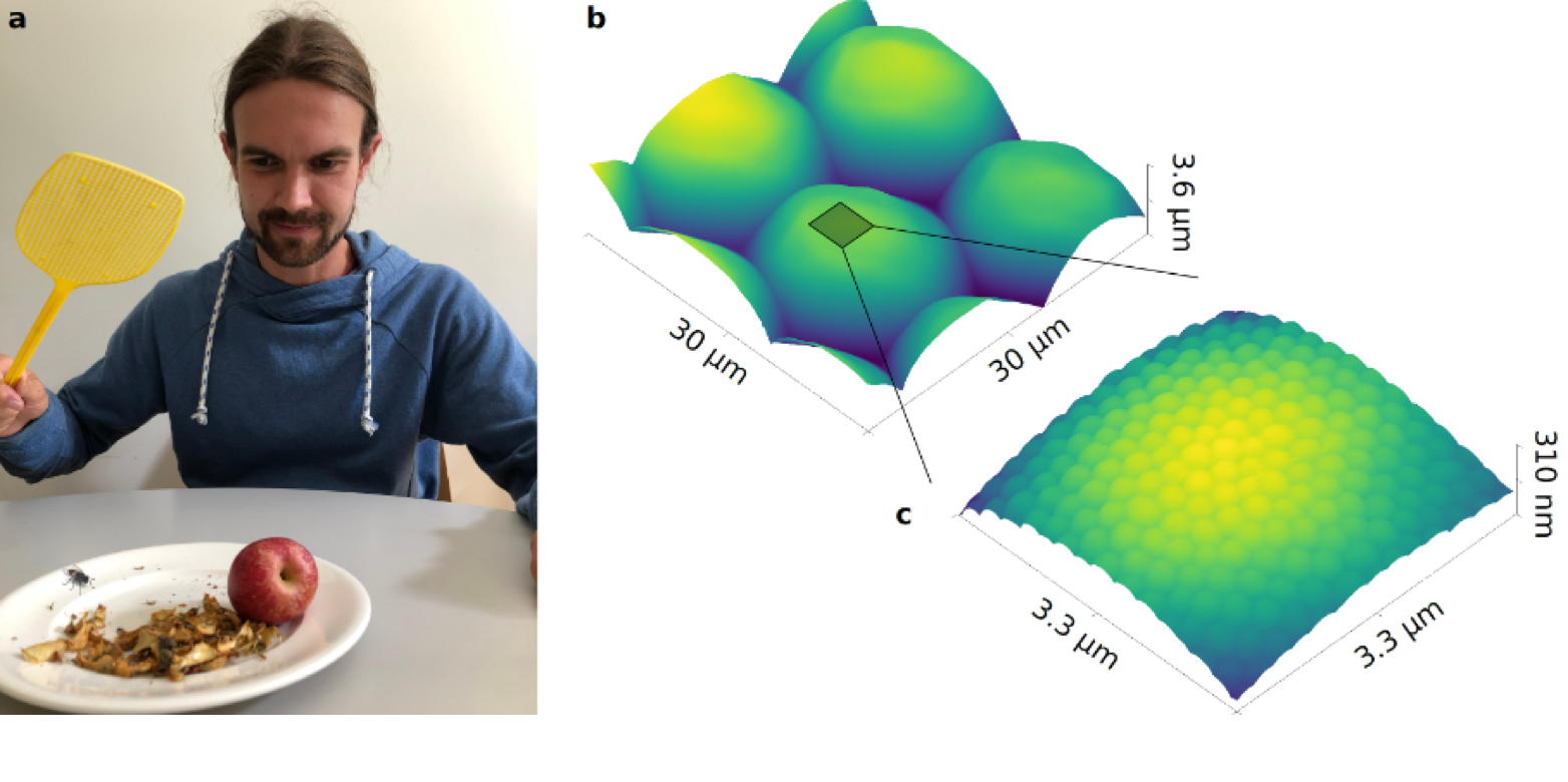 PhD student Jannis Lehmann of the FERROIC Lab at the delicate job of sample preparation. 