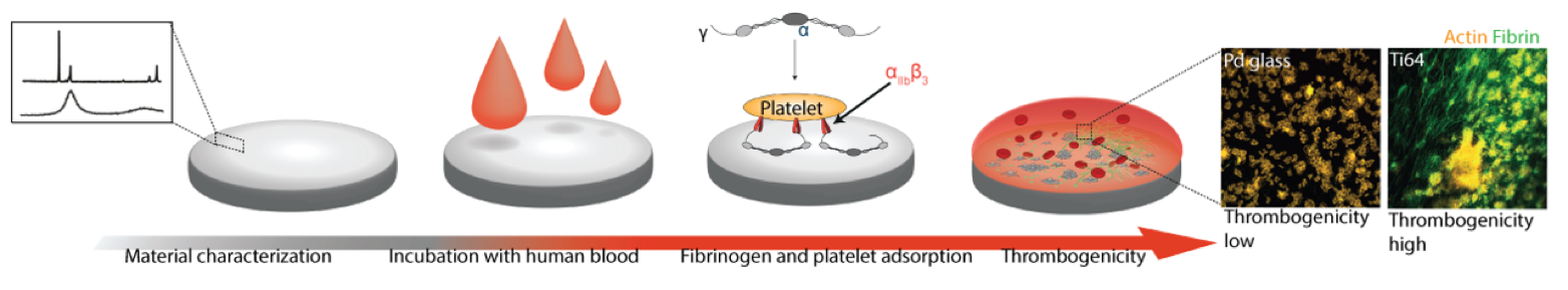 Schematic illustration