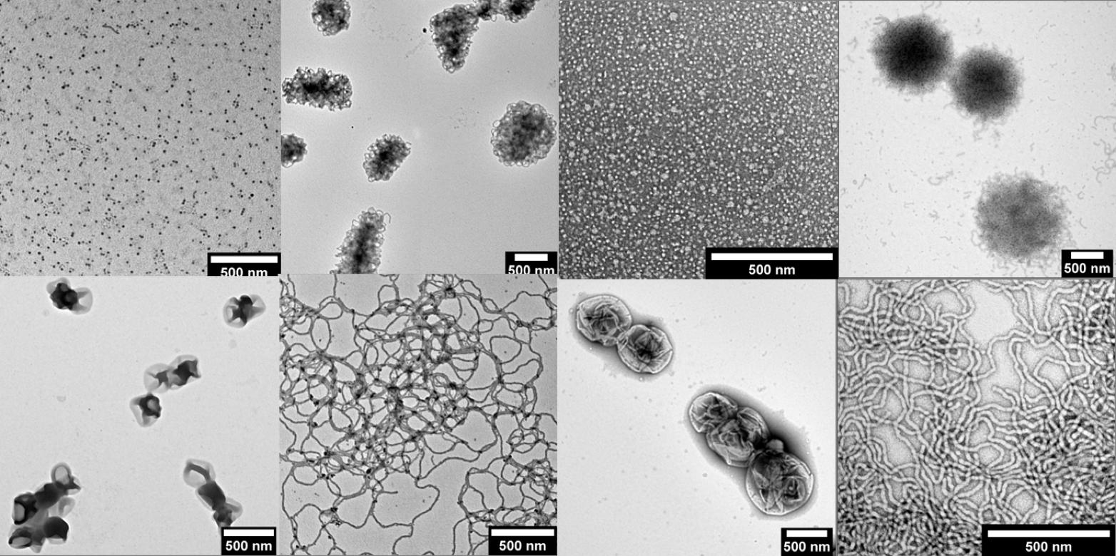 Enlarged view: nanoparticles with various morphologies