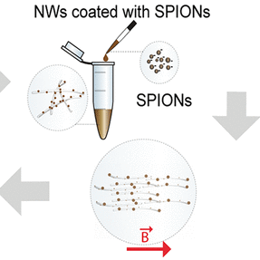 Aligning Nanowires for Stretchable Electronics