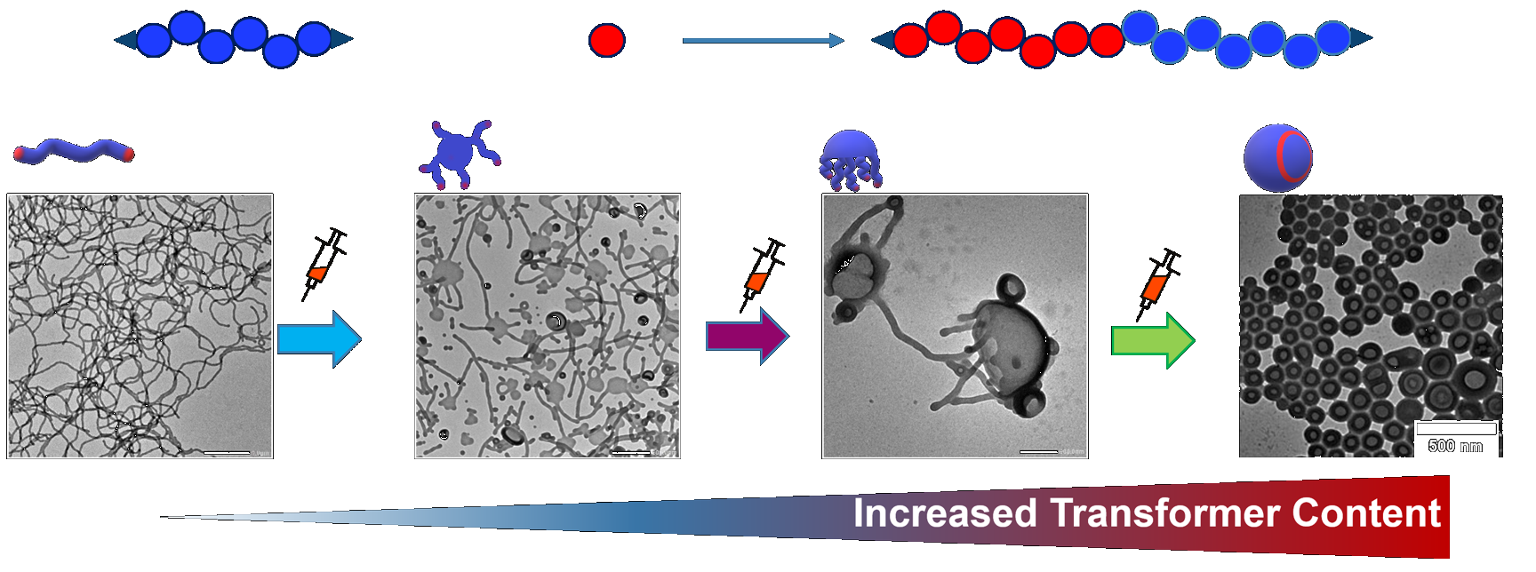 Transformer-​Induced Metamorphosis of Polymeric Nanoparticle Shape at Room Temperature